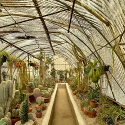 Moorten Botanical Garden - Palm Springs