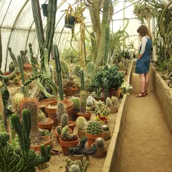 Moorten Botanical Garden - Palm Springs