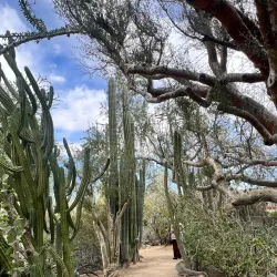 Moorten Botanical Garden - Palm Springs