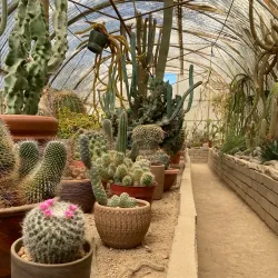 Moorten Botanical Garden - Palm Springs