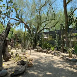 Moorten Botanical Garden - Palm Springs