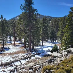 Palm Springs Aerial Tramway - Palm Springs