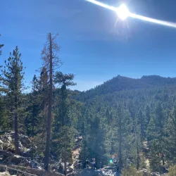 Palm Springs Aerial Tramway - Palm Springs