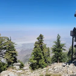 Palm Springs Aerial Tramway - Palm Springs