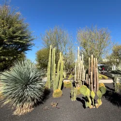 Sunnylands Center & Gardens - Palm Springs
