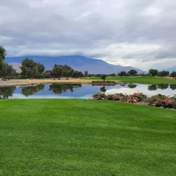 Sunnylands Center & Gardens - Palm Springs