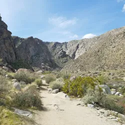 Tahquitz Canyon - Palm Springs