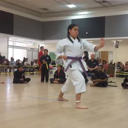 VillageFest - Palm Springs