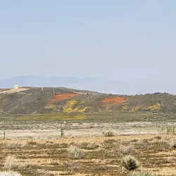 Anaverde Hills Park - Palmdale