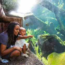 Palo Alto Junior Museum and Zoo - Palo Alto