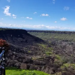 Butte Creek Canyon - Paradise
