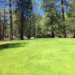 Magalia Community Park - Paradise