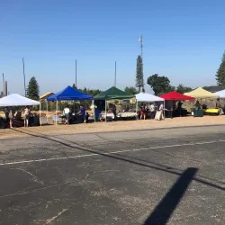 Paradise Farmers Market - Paradise