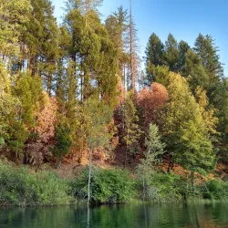 Paradise Lake - Paradise