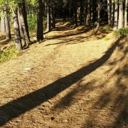 Paradise Lake - Paradise