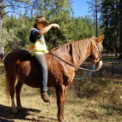 Paradise Lake - Paradise