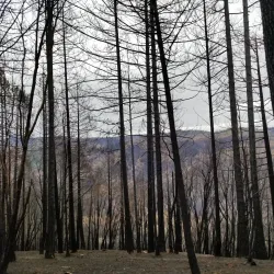 Paradise Lake - Paradise