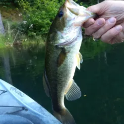 Paradise Lake - Paradise