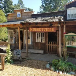 Paradise Museum - Paradise