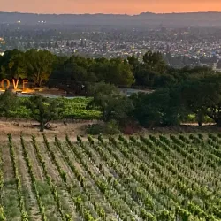 Paradise Ridge Winery - Paradise