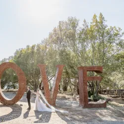 Paradise Ridge Winery - Paradise