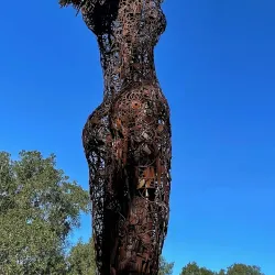 Paradise Ridge Winery - Paradise