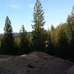 Skyway Drive - Paradise