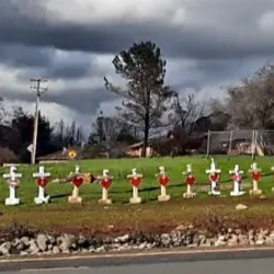 Skyway Drive - Paradise