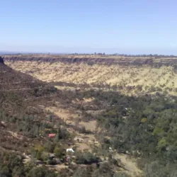 Skyway Drive - Paradise