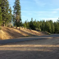 Skyway Drive - Paradise