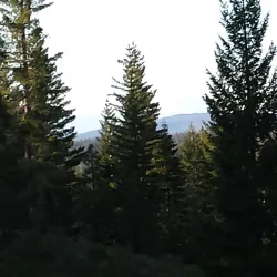 Skyway Drive - Paradise