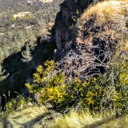 Skyway Drive - Paradise