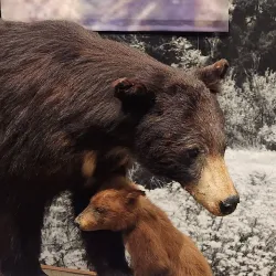 Eaton Canyon Natural Area - Pasadena