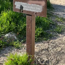 Eaton Canyon Natural Area - Pasadena