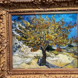 Norton Simon Museum - Pasadena