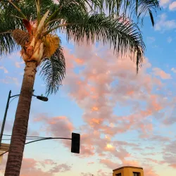 Old Pasadena - Pasadena