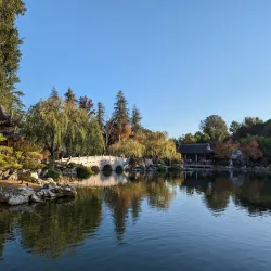 The Huntington Library, Art Museum, and Botanical Gardens - Pasadena
