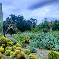 The Huntington Library, Art Museum, and Botanical Gardens - Pasadena