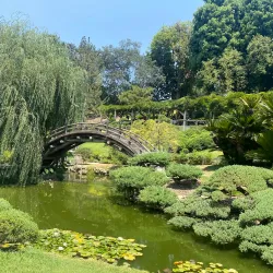 The Huntington Library, Art Museum, and Botanical Gardens - Pasadena