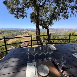 Adelaida Vineyards & Winery - Paso Robles