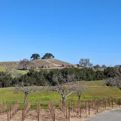 Adelaida Vineyards & Winery - Paso Robles