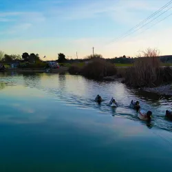 Hot Springs Natural Area - Paso Robles