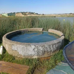 Hot Springs Natural Area - Paso Robles