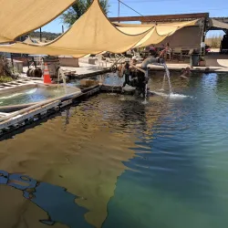 Hot Springs Natural Area - Paso Robles