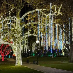 Paso Robles Downtown City Park - Paso Robles