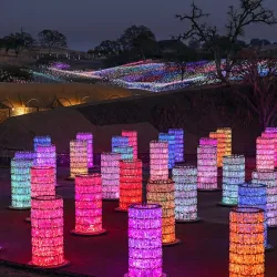 Sensorio - Paso Robles