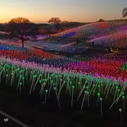 Sensorio - Paso Robles