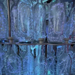 Sensorio - Paso Robles