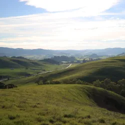Helen Putnam Regional Park - Petaluma