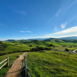 Helen Putnam Regional Park - Petaluma